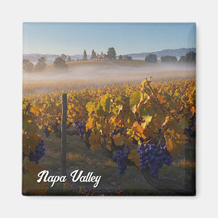 Napa Valley California Vinyard Winery Magneet