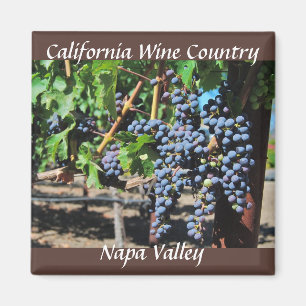 Napa Valley California Wine Land Magneet