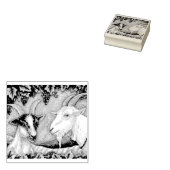 NAPA VALLEY KIND & BILLY GEITENRUBBER STEMPEL * Cu (Gestempeld)