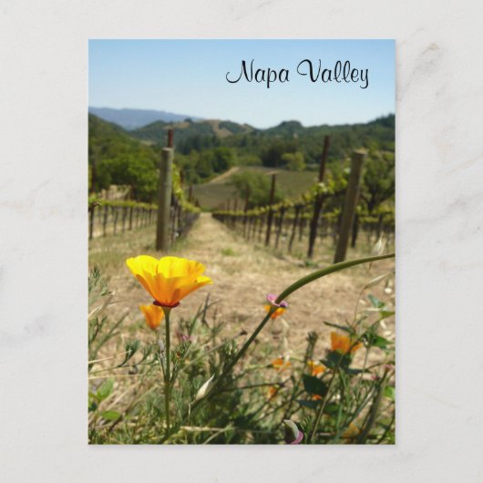 Napa Valley Spring Briefkaart (Voorkant)