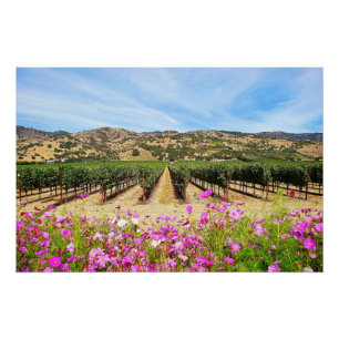 Napa Valley Vineyard met Cosmos Perfect Poster