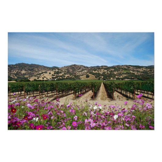 Napa Valley Vineyard met Cosmos Perfect Poster (Voorkant)