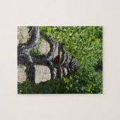 Napa Valley Vineyard Row Legpuzzel (Horizontaal)