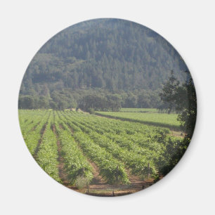 Napa Valley Vineyards I Magneet