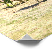 Napa Valley Winery Vineyard Poster (Hoek)