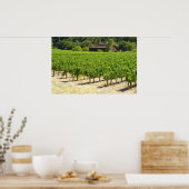 Napa Valley Winery Vineyard Poster (Keuken)