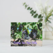 Napa Vineyard-druiven voor wijn Briefkaart (Staand voorkant)