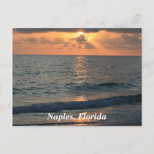 Napels Beach, Florida Sunset Briefkaart (Voorkant)