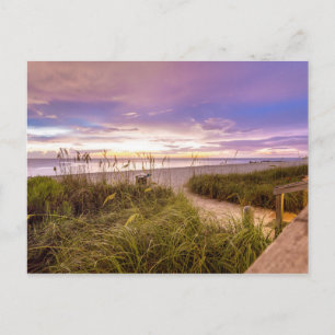 Napels Beach Shore and Calm Ocean   Florida Briefkaart