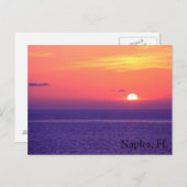 Napels, FL Briefkaart (Voorkant / Achterkant)