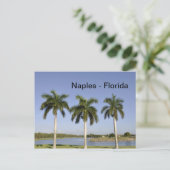 Napels Florida Briefkaart (Staand voorkant)