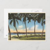  Napels, uitzicht van Florida van de Golf Briefkaart (Voorkant / Achterkant)