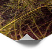 Naples Beach Florida Poster (Hoek)