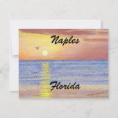 NAPLES, FLORIDE CARTE PLATE (Devant)