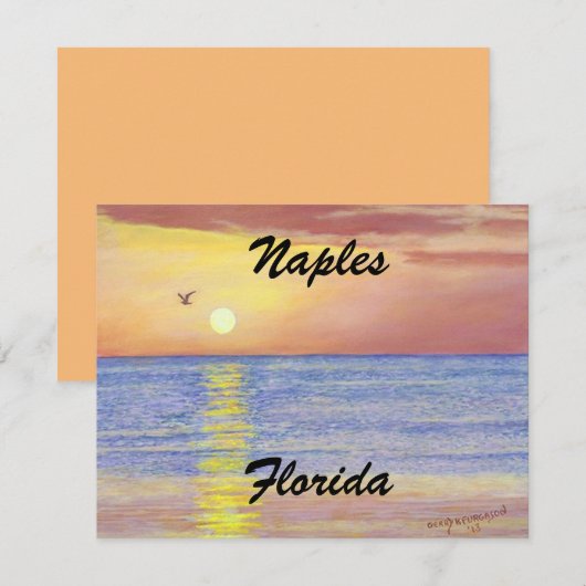 NAPLES, FLORIDE CARTE PLATE (Devant / Derrière)