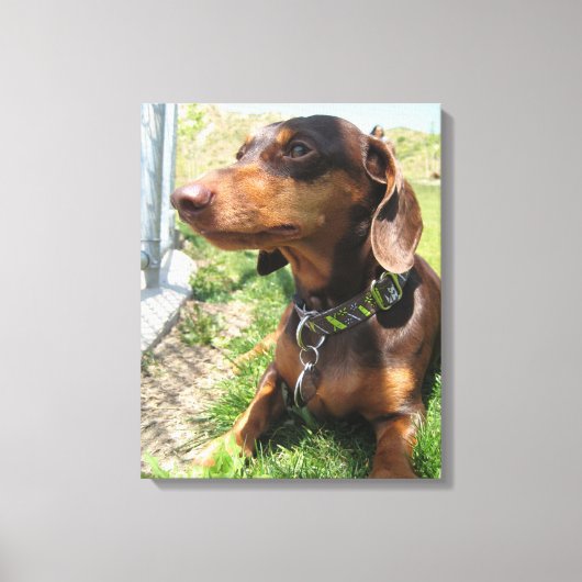 Napoleon Canvas Afdruk (Voorkant)