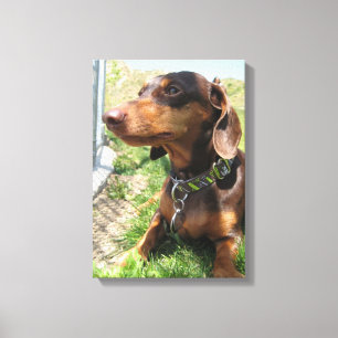 napoleon canvas afdruk