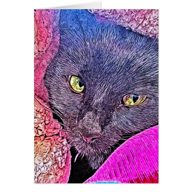 Napoleon in een deken (Voorkant)