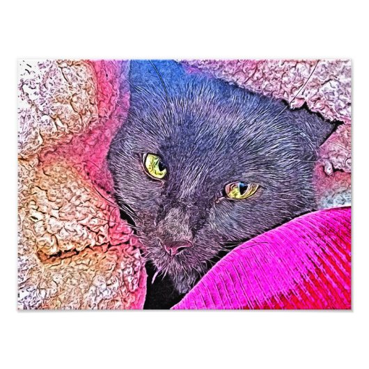 Napoleon in een deken foto afdruk (Voorkant)