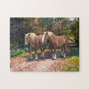 "Napoleon & Josephine" Puzzle Legpuzzel