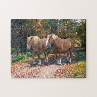 "Napoleon & Josephine" Puzzle Legpuzzel