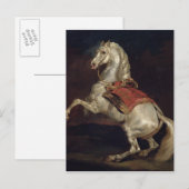 Napoleon's Stallion, Tamerlan Briefkaart (Voorkant / Achterkant)