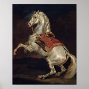Napoleon's Stallion, Tamerlan Poster