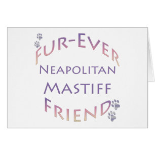 Napolitaanse Mastiff Furever