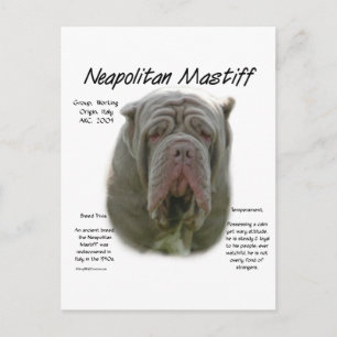 Napolitaanse Mastiff (tawny) Geschiedenis Ontwerp Briefkaart