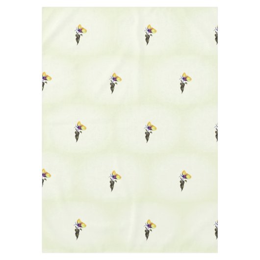 Nappe (Devant)