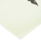 Nappe (Angle)