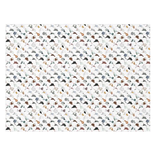 Nappe 36 races de pigeon (Devant (Horizontal))
