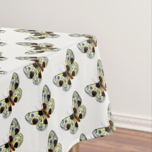 Nappe Abraxas sylvata - La papillon de papillon