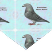 Nappe Afficher l'ASR racer (Angle)