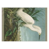 Nappe Aigrette neigeuse d'Audubon oiseau de rivage ornit (Devant (Horizontal))