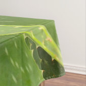 Nappe Aloe (In Situ)