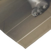 Nappe Animaux drôles dans la salle de bain (Angle)