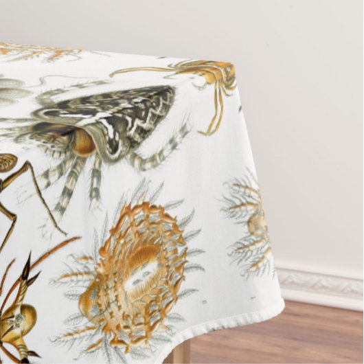 Nappe Arachnides par Ernest Haeckel illustration vintage