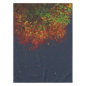 Nappe arc-en-ciel tombante (Devant)