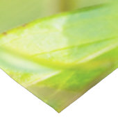 Nappe attachement calme (Angle)