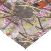 Nappe Baltimore Oriole (Angle)