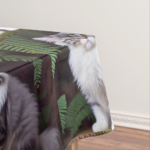 Nappe Banjo le persan : Un délice gris et blanc