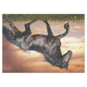 Nappe Beau Cheval Noir (Devant (Horizontal))