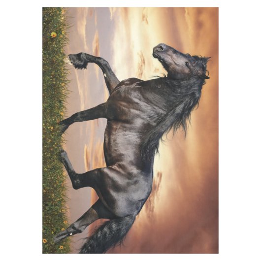 Nappe Beau Cheval Noir (Devant)