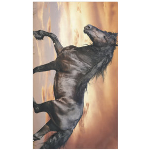 Nappe Beau Cheval Noir