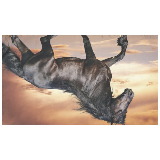 Nappe Beau Cheval Noir (Devant (Horizontal))