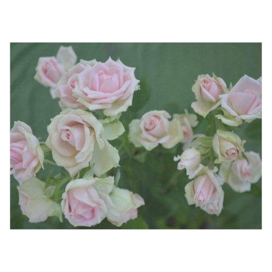 Nappe Beau jardin rose clair roses (Devant (Horizontal))