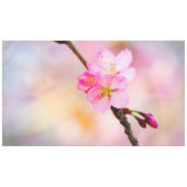 Nappe Beautiful Sakura Cherry (Devant (Horizontal))