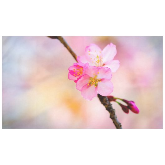 Nappe Beautiful Sakura Cherry (Devant (Horizontal))