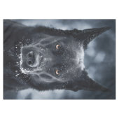 Nappe Berger Allemand Noir (Devant (Horizontal))